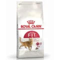 Сухий корм Royal Canin Fit 32 для кішок, 2 кг