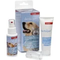 Дорожній набір (спрей, зубна щітка, паста) DentalPet Kit для догляду за ротовою порожниною для кішок і собак
