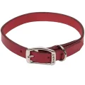 Шкіряний нашийник Coastal Circle T Leather Town для собак, червоний, 2.5×55 см