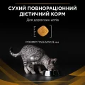 Сухий корм Purina Pro Plan Veterinary Diets NF Renal Function Advanced Care для котів із захворюванням нирок, 350 г