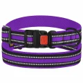 Нашийник BronzeDog Urban Mesh, для собак, нейлон і 3-D сітка, фастекс пластик, фіолетовий, 43-66×2.5 см