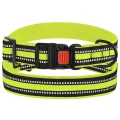 Нашийник BronzeDog Urban Mesh, для собак, нейлон і 3-D сітка, фастекс пластик, лимонний, 30-40×2 см