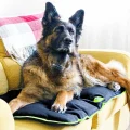 Водоотталкивающая подушка Ferplast Jolly 100 Cushion Black для собак, чорна, 98×65 см