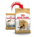 Сухий корм Royal Canin German Shepherd Adult для німецької вівчарки, 11 кг