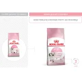 Сухий корм Royal Canin Kitten для кошенят від 4 до 12 місяців, 1.2 кг