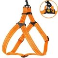 Шлея BronzeDog Active для собак, світловідбиваючий нейлон, помаранчевий, 40-53 см