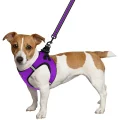 Шлея BronzeDog Mesh Vest для собак, сітчастий нейлон, фіолетовий, 42-47 см