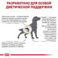 Сухий корм Royal Canin Urinary S / O Moderate Calorie при сечокам'яній хворобі у собак, 1.5 кг
