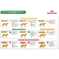 Сухий корм Royal Canin Mature Consult для кішок від 7 років без видимих ​​ознак старіння, 3.5 кг