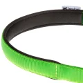 Нейлоновий нашийник з металевим ланцюжком Ferplast Daytona CSS15 / 40 Green для собак, A: 40 см, B: 15 см