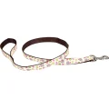 Повідець Coastal Pet Attire Ribbon для собак, квіти троянд, 1.6×1.2 м