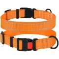 Нашийник BronzeDog Active, для собак, нейлоновий, фастекс пластик, помаранчевий, 25-33×1.6 см