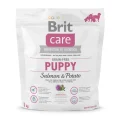 Сухий корм Brit Care GF Puppy Salmon & Potato, для цуценят, 1 кг