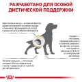 Сухий корм Royal Canin Urinary S / O при сечокам'яній хворобі у собак, 13 кг