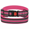 Нашийник BronzeDog Urban Mesh, для собак, нейлон і 3-D сітка, фастекс пластик, рожевий, 30-40×2 см