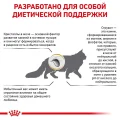Сухий корм Royal Canin Urinary S / O Moderate Calorie при сечокам'яній хворобі у котів, 3.5 кг
