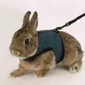Шлейка Ferplast Jogging Large-harness для дрібних тварин