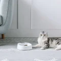 Миска Petkit Smart Pet Bowl з вбудованими вагами, для собак і котів, біла, 1 л