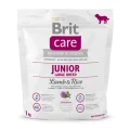 Сухий корм Brit Care Junior Large Breed Lamb & Rice, для цуценят гігантських порід, 1 кг
