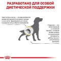 Сухий корм Royal Canin S / O Ageing 7 + для собак від 7 років, 1.5 кг