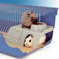 Пластиковий будиночок Ferplast Pub 3252 With Feeding Bowl для маленьких тварин зі сходами і мискою