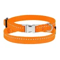 Нашийник BronzeDog Active, для собак і котів, нейлоновий, фастекс хром, помаранчевий, 18-28×1 см