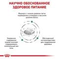 Сухий корм Royal Canin Diabetic при цукровому діабеті у собак, 1.5 кг