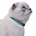 Нашийник BronzeDog Urban, для котів, нейлоновий, дзвіночок, принт черепа, бірюзовий, 18-28×1 см