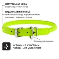 Нашийник Waudog Glamour круглий, діаметр 13 мм, довжина 53-61 см, салатовий