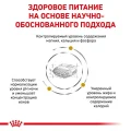 Сухий корм Royal Canin Urinary S / O Moderate Calorie при сечокам'яній хворобі у собак, 1.5 кг