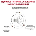 Сухий корм Royal Canin Gastrointestinal Fibre Response при порушеннях травлення у кішок, 400 г