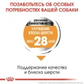 Сухий корм Royal Canin Mini Coat Care для собак дрібних порід з тьмяною і сухий шерстю, 3 кг