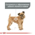 Сухий корм Royal Canin Mini Dental Care для зменшення утворення зубного каменю у собак дрібних порід, 1 кг