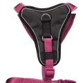 Шлея Trixie Premium Y-Harness для собак, 33-42 см, 10 мм, розмір XS, світло-ліловий
