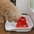 Ferplast Lindo Restyling Tray & Bowls миски на пластиковій підставці з захистом проти ковзання, пластик