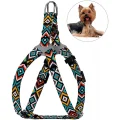 Шлея BronzeDog Tribal для собак, нейлон, принт гуцульський, ментоловий, 28-40 см