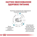 Сухий корм Royal Canin Skin Care Adult Small Dog при захворюванні шкіри у собак дрібних порід, 2 кг