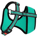Шлея BronzeDog Mesh для собак дрібних порід, сітчастий нейлон, ментоловий, 35-38 см