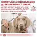 Сухий корм Royal Canin Anallergenic при харчовій алергії у собак, 8 кг