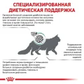 Сухий корм Royal Canin Diabetic при цукровому діабеті у кішок, 1.5 кг