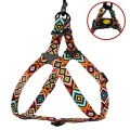Шлея BronzeDog Tribal для собак, нейлон, принт гуцульський, помаранчевий, 40-53 см