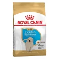 Сухий корм Royal Canin Golden Retriever Puppy для цуценя золотистого ретривера, 12 кг