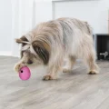 Іграшка Trixie яйце для ласощів, для собак, 10 см