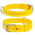 Нашийник WAUDOG GLAMOUR, зі стразами, ширина 35 мм, довжина 46-60 см, жовтий