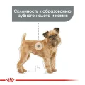 Сухий корм Royal Canin Mini Dental Care для зменшення утворення зубного каменю у собак дрібних порід, 3 кг