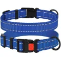 Нашийник BronzeDog Active, для собак, нейлоновий, фастекс пластик, синій, 25-33×1.6 см
