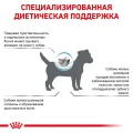 Сухий корм Royal Canin Hypoallergenic Small при харчової алергії у собак дрібних порід, 1 кг