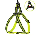 Шлея BronzeDog Mesh Стандарт для собак, сітчастий нейлон, лимонний, 45-60 см