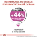 Сухий корм Royal Canin Mini Relax Care з заспокійливою дією для собак дрібних порід, 1 кг