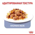 Вологий корм Royal Canin Appetite Control Care шматочки в желе, для стерилізованих котів, 85 г